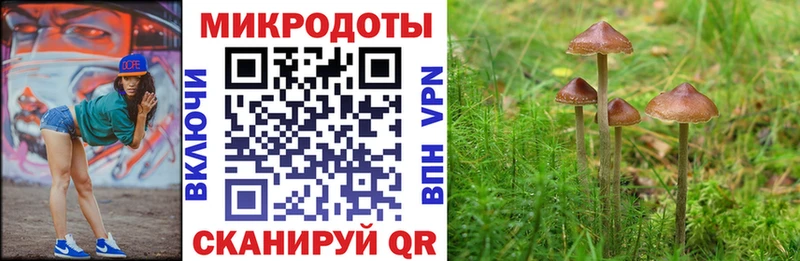 Галлюциногенные грибы мицелий  Старица 
